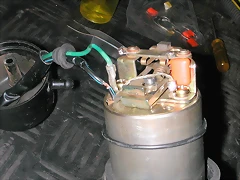 DSCN0063 DSCN0063