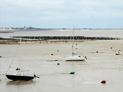 IMG_5238 (Copier) IMG_5238 (Copier)
