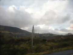DSCN2854 DSCN2854
