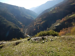 DSCN9066 DSCN9066