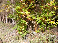 DSCN6402 DSCN6402