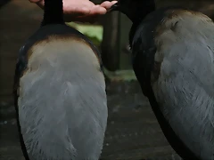 Zoo Lunaret + Sigean 18 i 19-09-10 858 Zoo Lunaret + Sigean 18 i 19-09-10 858