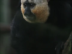 Zoo Lunaret + Sigean 18 i 19-09-10 810 Zoo Lunaret + Sigean 18 i 19-09-10 810