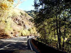 DSCN7668 DSCN7668