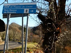 DSCN0109