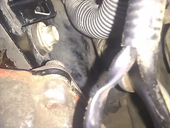 IMAG0521 IMAG0521