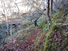 DSCN9022 DSCN9022