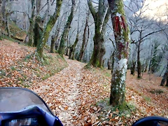 DSCN0134 DSCN0134