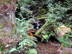 DSCN0929 DSCN0929