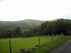 DSCN8378 DSCN8378