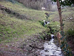 DSCN8172 DSCN8172