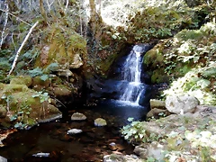 DSCN7863 DSCN7863