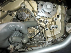 DSCN4493 DSCN4493