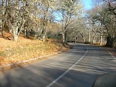 DSCN6747 DSCN6747