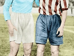 21 - copia 21 - copia
