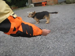 IMG_0460 IMG_0460