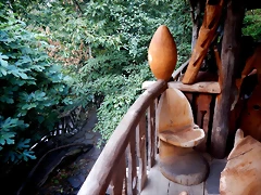 DSCN7900