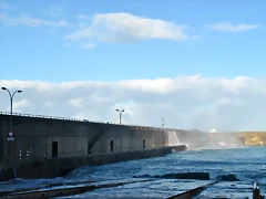 DSC_0560