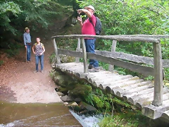 DSCN3833 DSCN3833