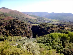 DSCN5481 DSCN5481