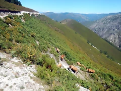 DSCN4641 DSCN4641