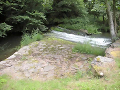 DSCN4159 DSCN4159