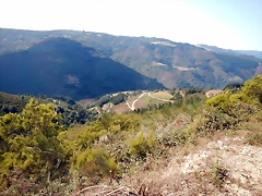 DSCN7145 DSCN7145