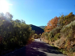 DSCN7687 DSCN7687