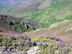 043-Imagen 045 043-Imagen 045