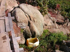 vendimia 070