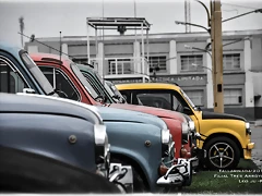 DSC_0600 DSC_0600