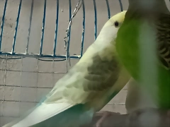 IMG20241015205405