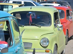 DSC_0135 DSC_0135