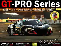 Cartell GT Pro - Cursa 2