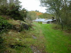 DSCN5790 DSCN5790