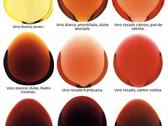 colores_vino