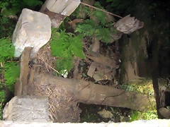 IMG_0293 IMG_0293
