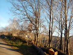 DSCN2920 DSCN2920