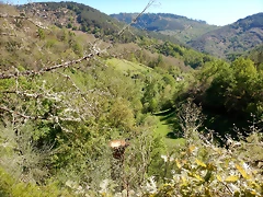 DSCN0016 DSCN0016
