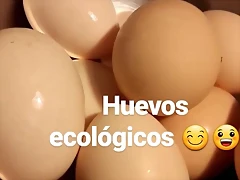 Video Mar?a IG Stories 2-5-2017