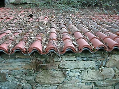 DSCN6684 DSCN6684