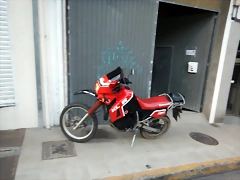 DSCN2164 DSCN2164