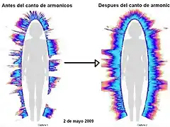 CAMARA KIRLIAN ANTES Y DESPUES DE CANTAR ARMONICOS