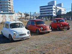 DSC_0217 DSC_0217