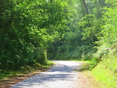 24-IMG_1494