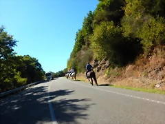 DSCN0310 DSCN0310