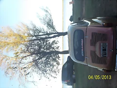 100_5348 100_5348