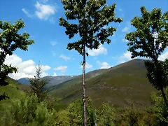 DSCN1102 DSCN1102