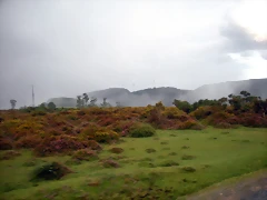 DSCN8461 DSCN8461
