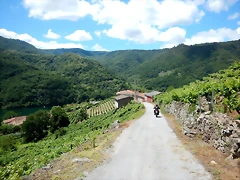 DSCN7803 DSCN7803